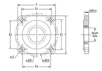 BP Backing Plate