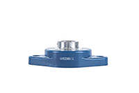 Blue-Polymer-2-Bolt-Flange-Stainless-Steel-Insert---Machine-B-S---FVSL613