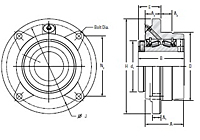 Flange: Piloted Bearing-2a