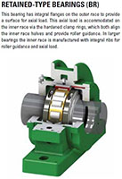 Mounted Bearings Retained Bearings BR image