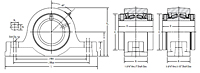 Pillow Block: 2-Bolt Base Bearing-2