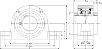 Double V-Lock Two-Bolt Pillow Block - Dimensional Drawing
