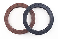 Seal_Group-2