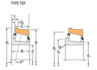 TRB TSF Cup Line Drawing