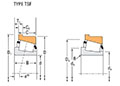 TRB TSF Cup Line Drawing