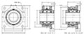 Type ESA Flange-4Bolt 2